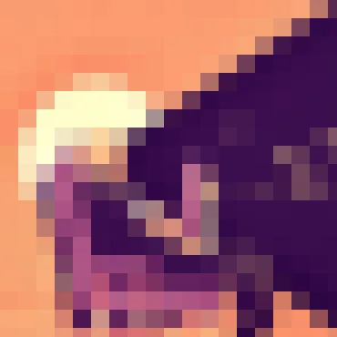 多多28