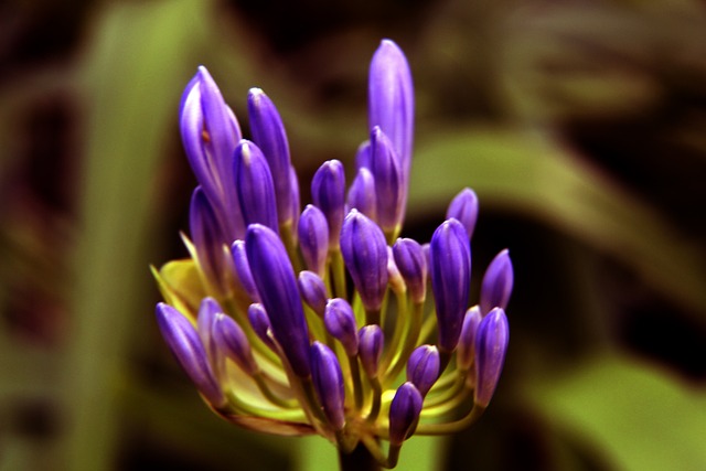 與其陣容深 與其陣容深