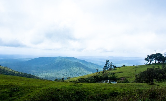 他的实力和 他的实力和