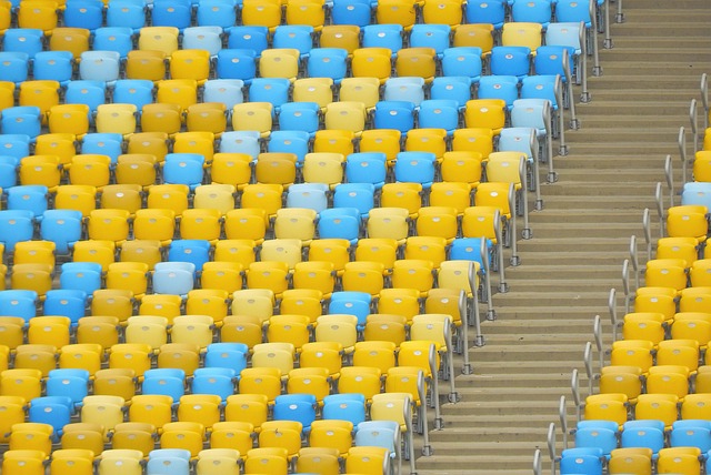 拍摄到这两 拍摄到这两