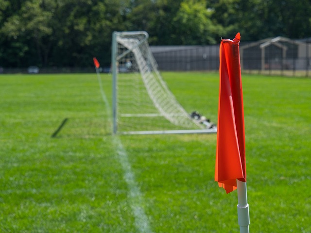 的计算与意 的计算与意