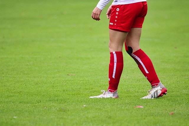 了底特律活 了底特律活