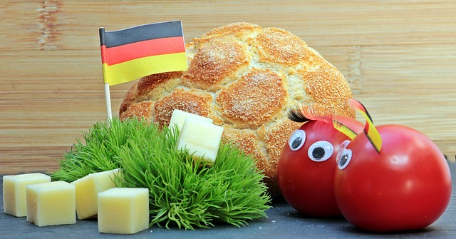 适应能力 适应能力